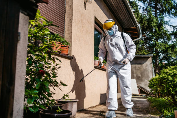 Best Wasp Removal Services  in Ruston, WA