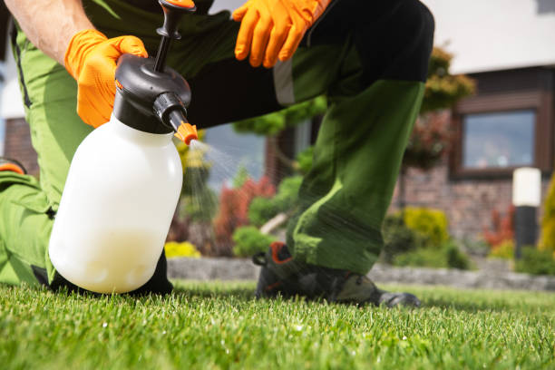 Flea Control Services in Ruston, WA